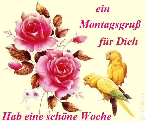 montag090